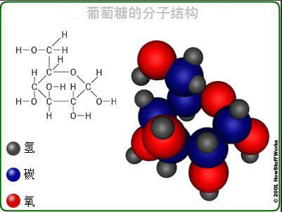 植发手术后需要喝葡萄糖吗？